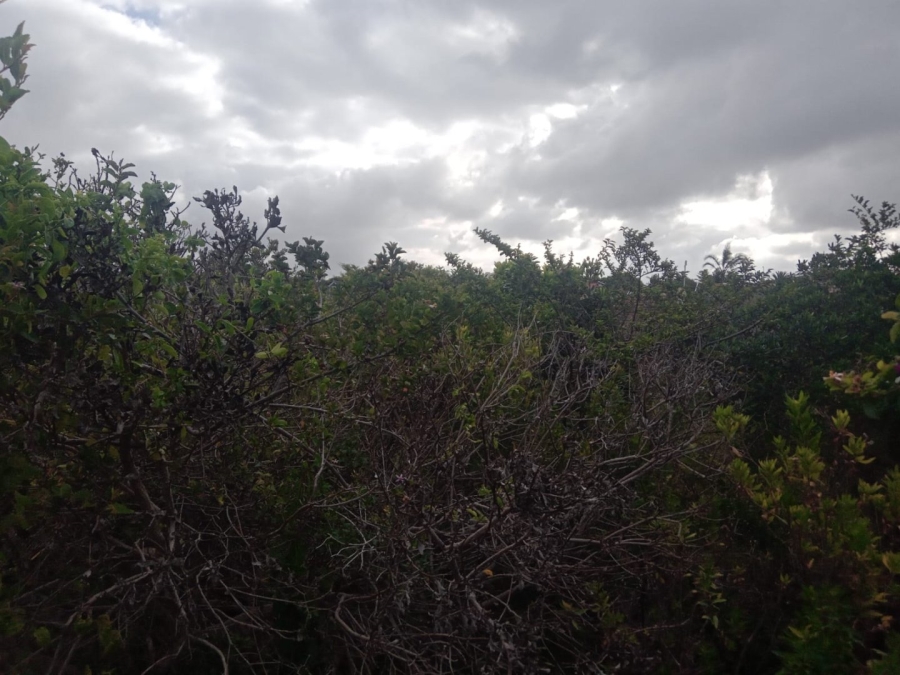 Commercial Property for Sale in Wavecrest Eastern Cape